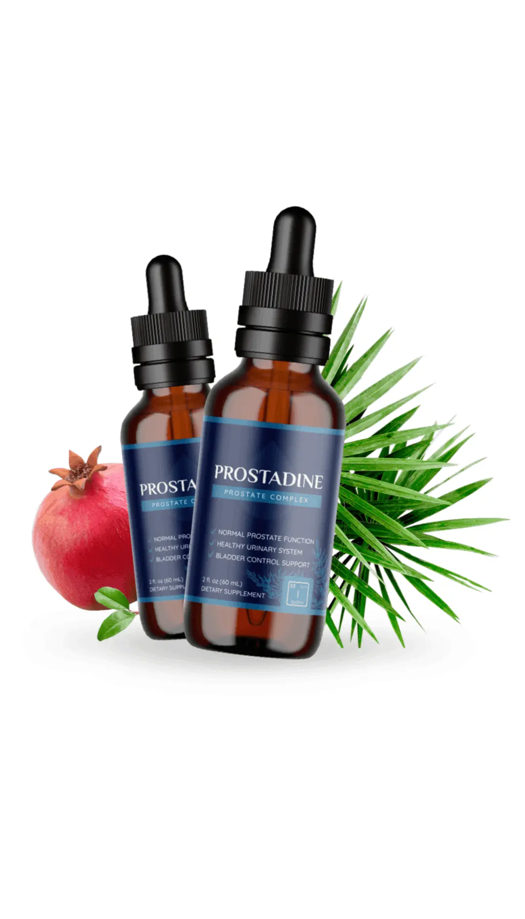 Prostadine natural liquid supplement for prostate health and urinary support